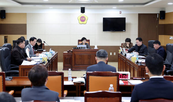 인천시의회 행정안전위원회가 11일 열린 ‘인천시 천원행복기금 설치 및 운용 조례(안)’ 심의에서 질의하고 있다. 인천시의회 제공