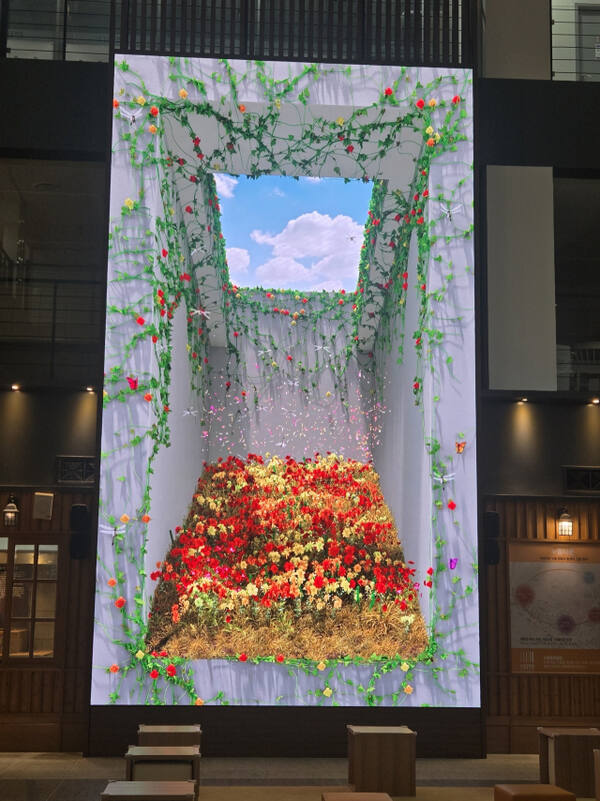 누들 플랫폼 영상 콘텐츠. 인천 중구청제공